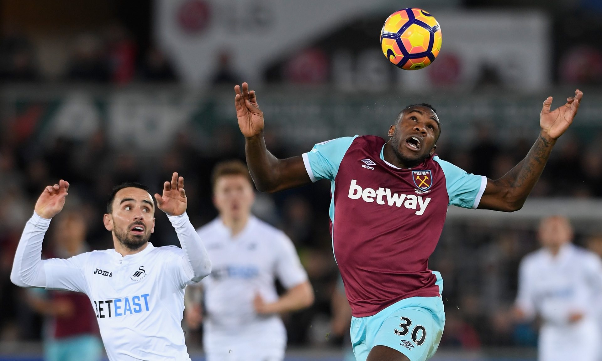 孟菲斯灰熊 孟菲斯灰熊